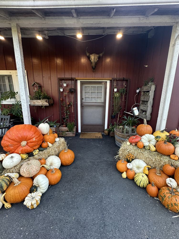 Restaurant entrance styled with hay bales and layered pumpkins on both sides