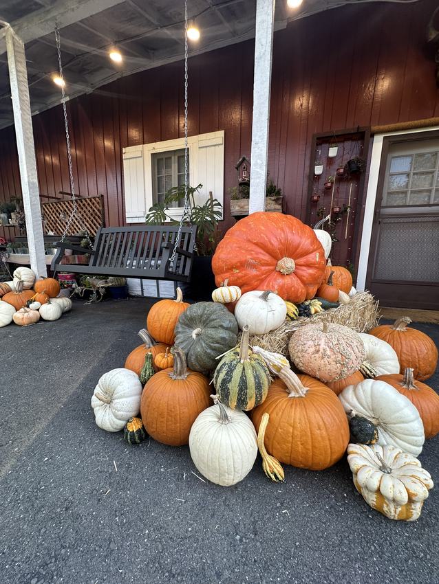 Covered porch with string lights and a large pumpkin display