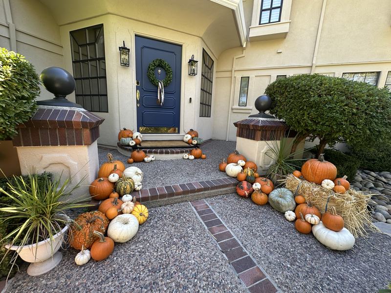 Entry lined with specialty pumpkins and ornamental gourds
