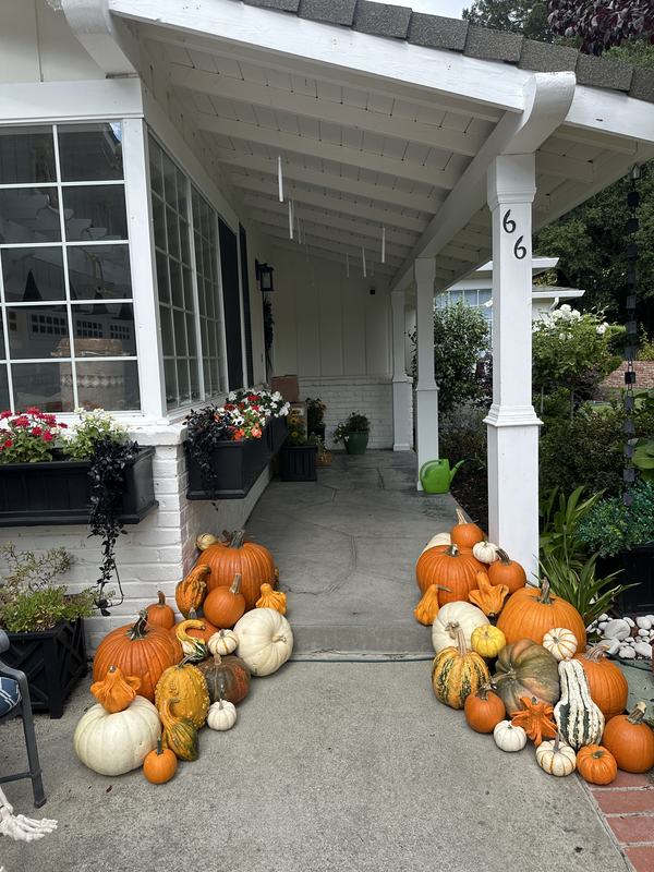 White covered porch with pumpkins lining both sides of the walkway