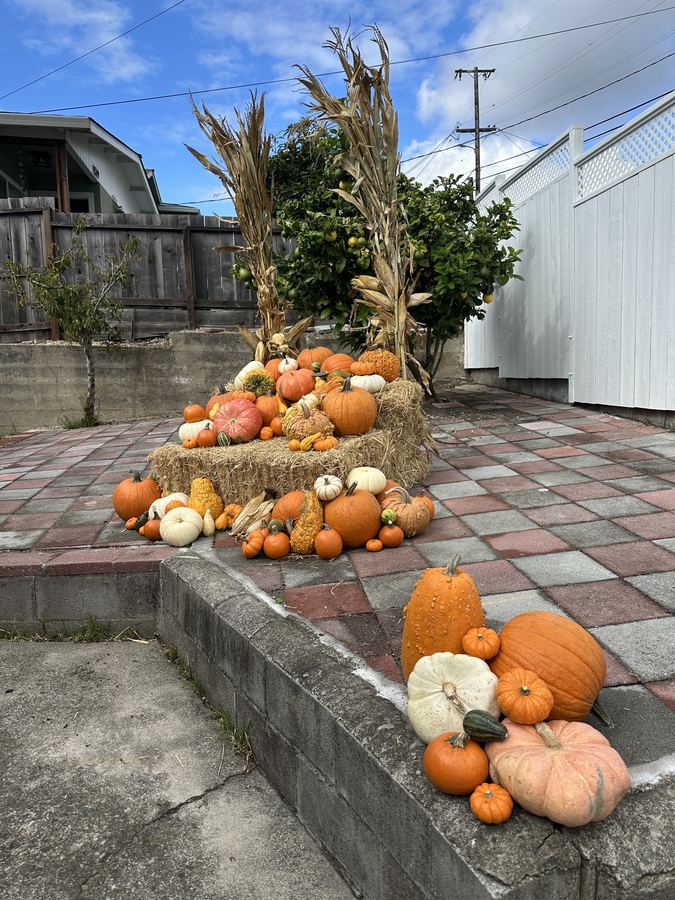 Harvest Haven arranged on hay bales
